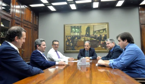 São Paulo intensifica controle fitossanitário para exportação de limão