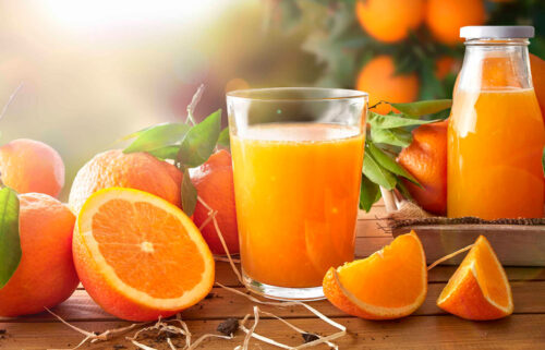 6 em cada 10 laranjas consumidas no mundo são produzidas no Brasil