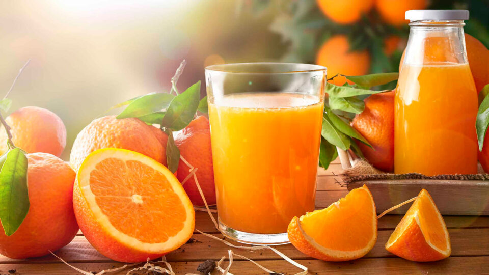6 em cada 10 laranjas consumidas no mundo são produzidas no Brasil
