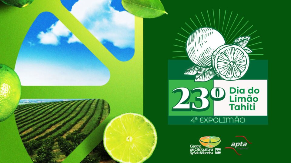 23º Dia do Limão Tahiti | 4ª Expolimão