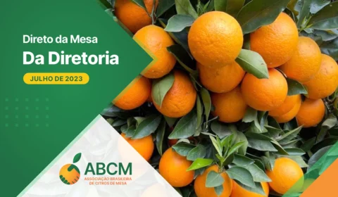 Informe ABCM: julho de 2023