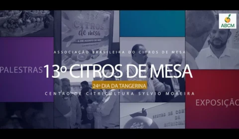 Palestras Técnicas da 13ª Citros de Mesa já podem ser assistidas em nosso canal do YouTube