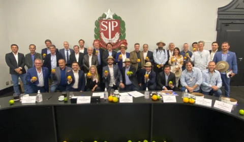 ABCM e setor se reúnem com o governador Tarcísio para combater o Greening