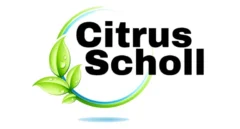 Citrus Scholl