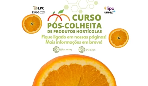 Inscrições Abertas para o II Curso de Pós-Colheita de Produtos Hortícolas