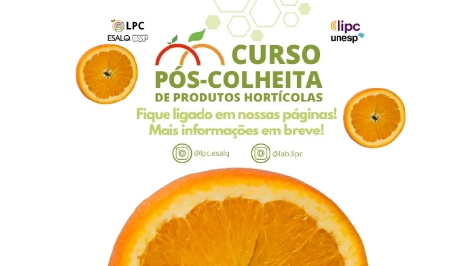 Inscrições Abertas para o II Curso de Pós-Colheita de Produtos Hortícolas