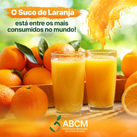 O Suco de Laranja é um dos mais consumidos no mundo!