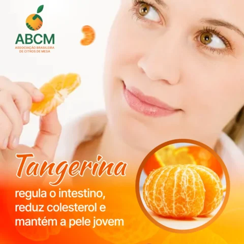 Tangerina: Pequena no tamanho, gigante nos benefícios!