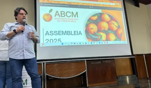 ABCM realiza planejamento para 2026 e elege nova diretoria