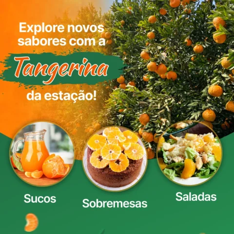 É tempo de Ponkan
