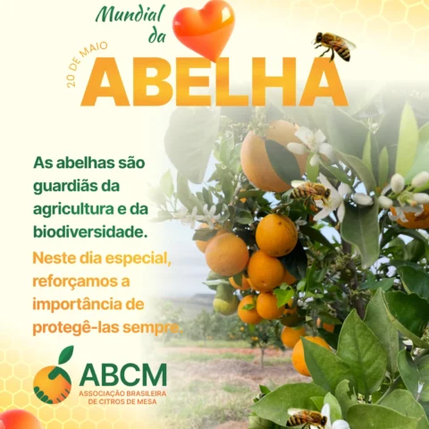 20 de Maio – Dia Mundial da Abelha 
