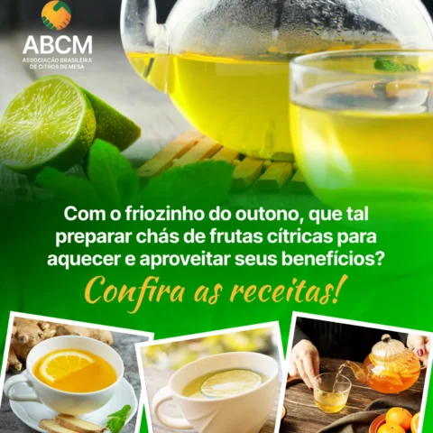 3 receitas especiais de chás com frutas cítricas