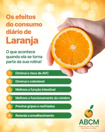 Os efeitos do consumo diário da Laranja
