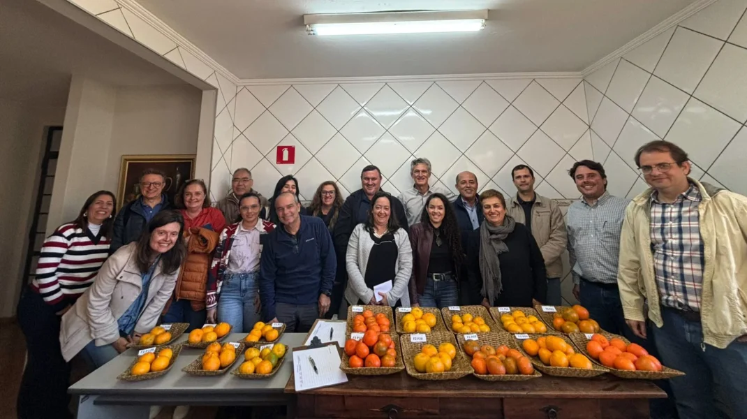 ABCM promove reunião estratégica no Centro de Citricultura para impulsionar pesquisas em Citros de Mesa