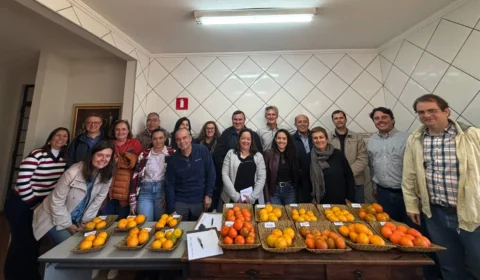 ABCM promove reunião estratégica no Centro de Citricultura para impulsionar pesquisas em Citros de Mesa