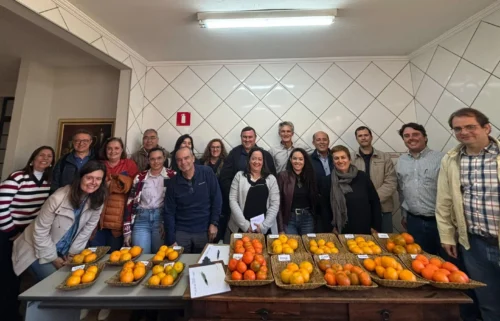 ABCM promove reunião estratégica no Centro de Citricultura para impulsionar pesquisas em Citros de Mesa