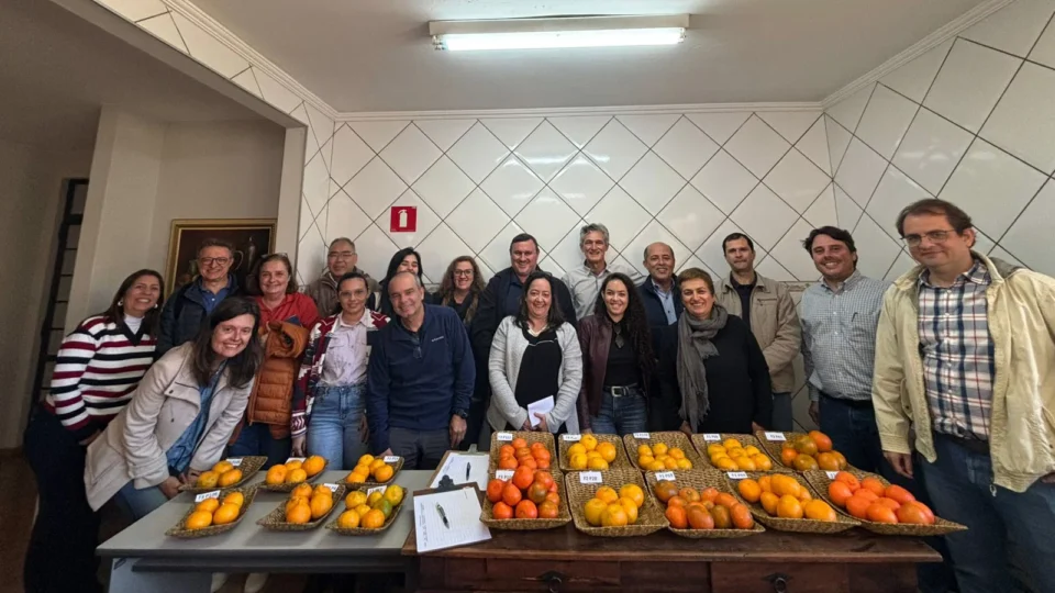 ABCM promove reunião estratégica no Centro de Citricultura para impulsionar pesquisas em Citros de Mesa