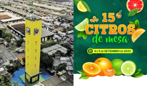 CEAGESP e ABCM fortalecem parceria no 15º Citros de Mesa