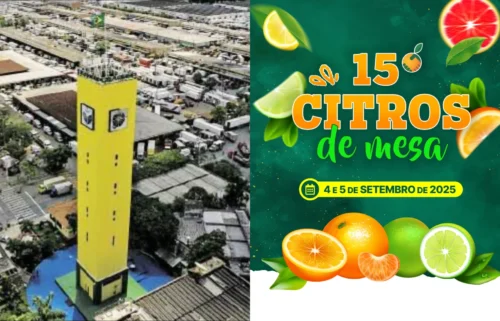 CEAGESP e ABCM fortalecem parceria no 15º Citros de Mesa