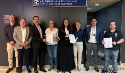 Pela primeira vez, Mapa emite certificado atestando qualidade de citros para mercado europeu