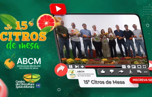 Assista às Palestras Técnicas da 15ª Citros de Mesa em nosso canal