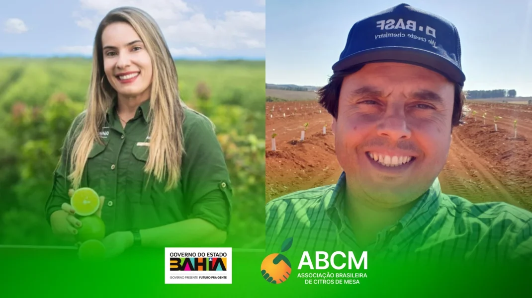 A ABCM integra a Câmara Setorial do Estado da Bahia