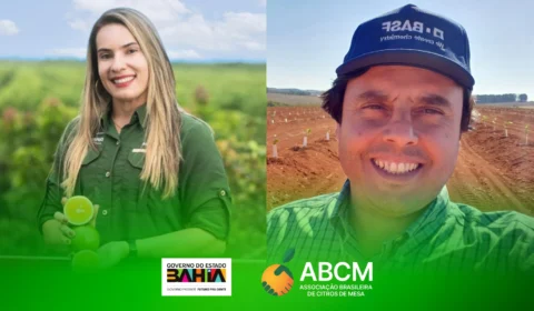 A ABCM integra a Câmara Setorial do Estado da Bahia