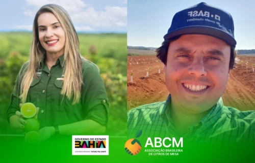 A ABCM integra a Câmara Setorial do Estado da Bahia