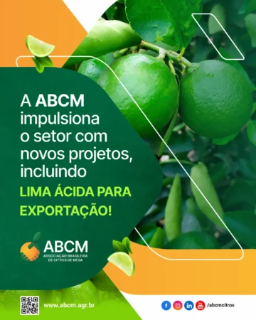 Lima Ácida para Exportação! 