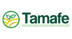 Viveiro Tamafe