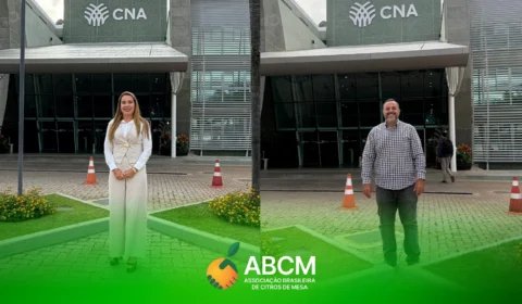 Representantes da ABCM participaram do Workshop “Conexão Frutas” na CNA