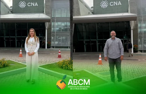 Representantes da ABCM participaram do Workshop “Conexão Frutas” na CNA