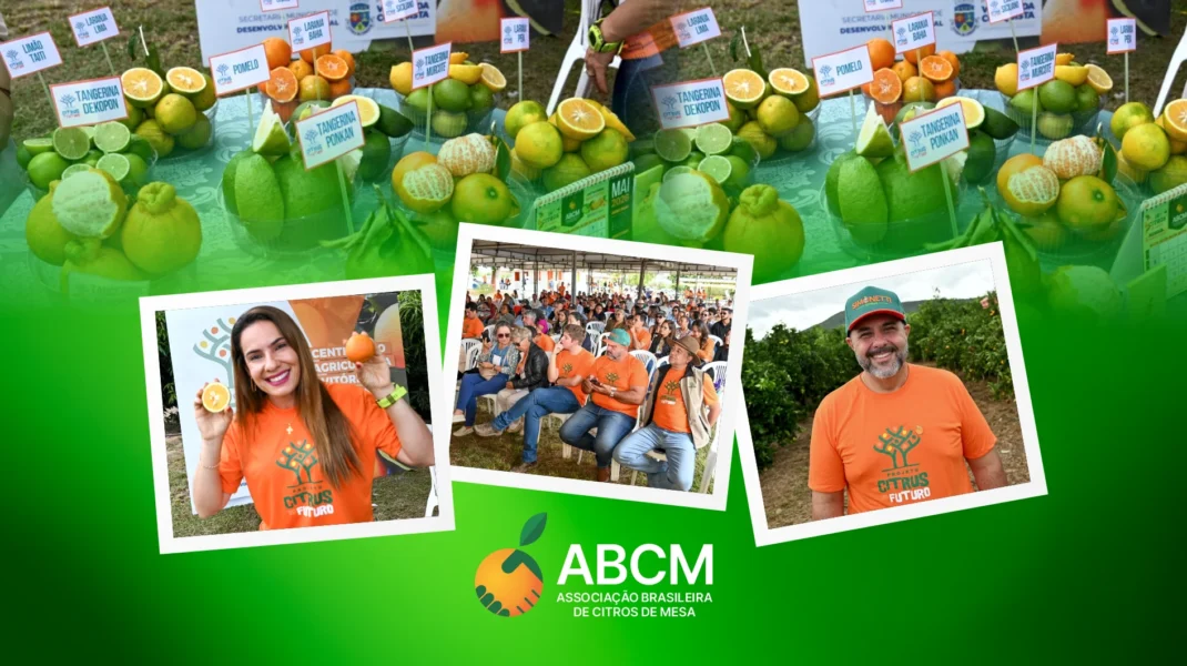 ABCM apoia iniciativa para fortalecer a citricultura em Vitória da Conquista/BA.