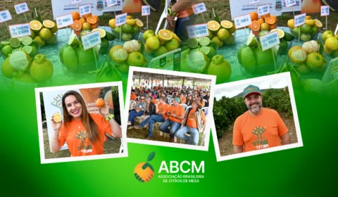 ABCM apoia iniciativa para fortalecer a citricultura em Vitória da Conquista/BA.