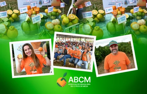 ABCM apoia iniciativa para fortalecer a citricultura em Vitória da Conquista/BA.