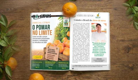 Carlos Lucato, presidente da ABCM, fala sobre unir o Brasil do citros de mesa em entrevista à revista Hortifruti Brasil