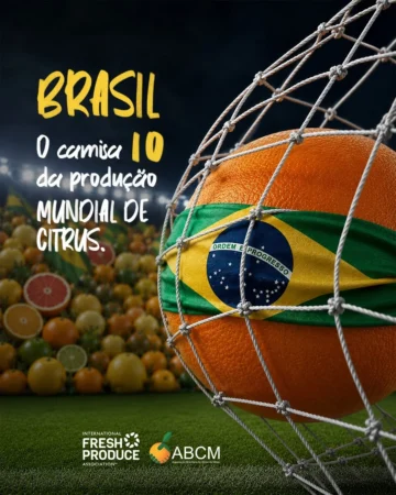 Vista a camisa dos Cítricos 2026!