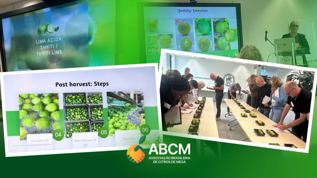 ABCM participa de Reunião de Harmonização da OCDE na Holanda
