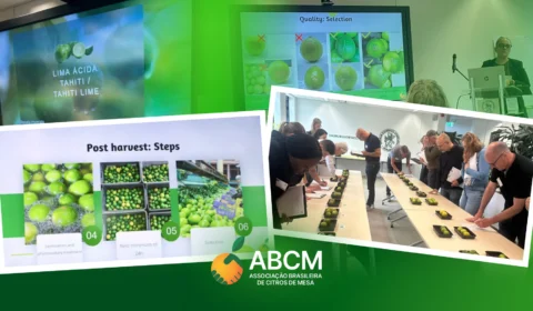 ABCM participa de Reunião de Harmonização da OCDE na Holanda