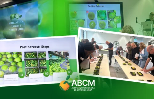 ABCM participa de Reunião de Harmonização da OCDE na Holanda