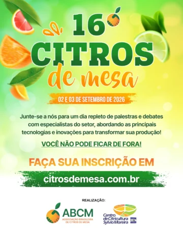 Estamos Quase Lá! 