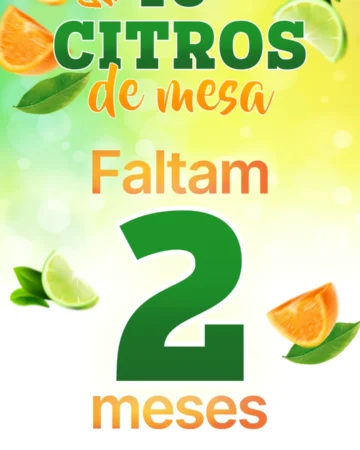 FALTAM SÓ 2 MESES! 