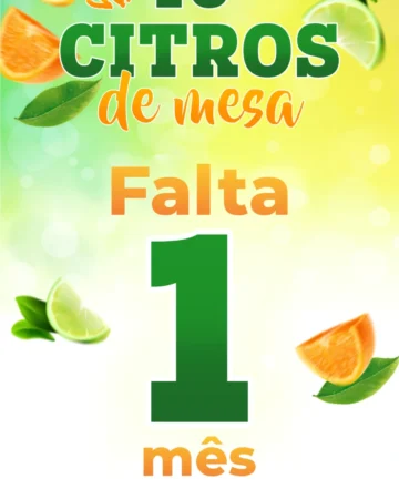 FALTA SÓ 1 MÊS!