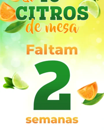 FALTAM 2 SEMANAS!