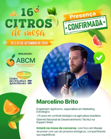 Marcelino Brito