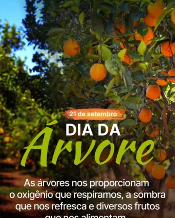Dia da Árvore: 21 de setembro