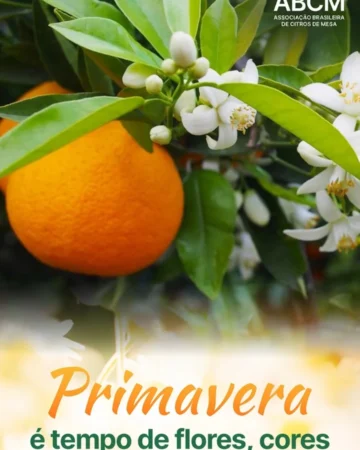 Chegou a Primavera!