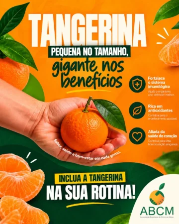 Tangerina Gigante nos benefícios